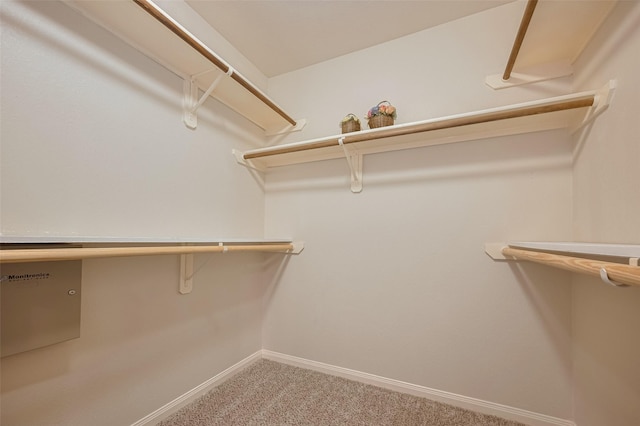 spacious closet with light carpet