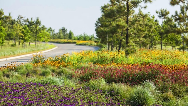 4222 Maple Glen Dr, Fulshear, TX 77441 - view of asphalt road with curbs