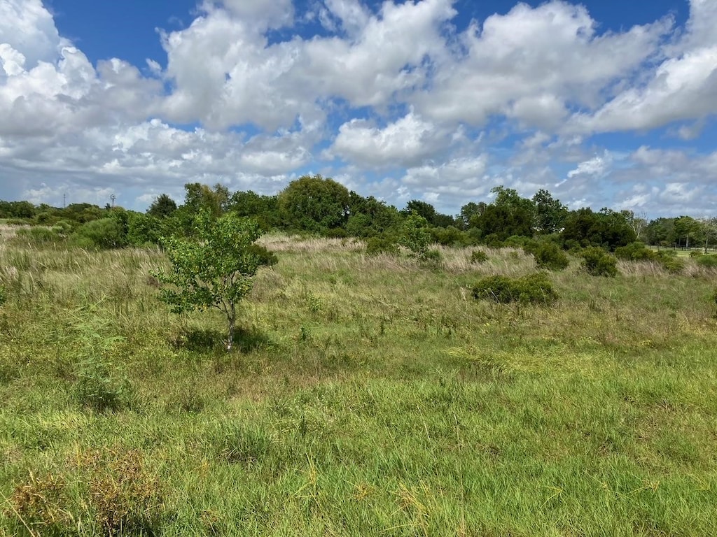 00 Speed Rd, Santa Fe, TX 77517 - photo 3