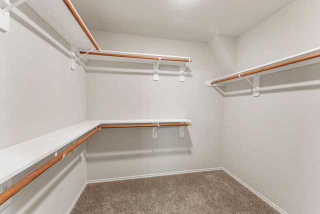 spacious closet with carpet floors