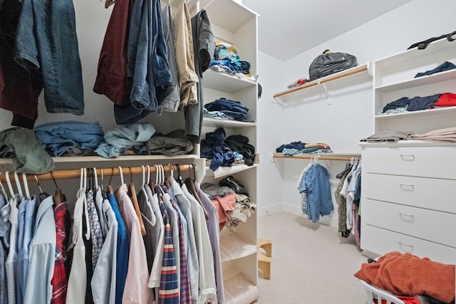 walk in closet with carpet floors