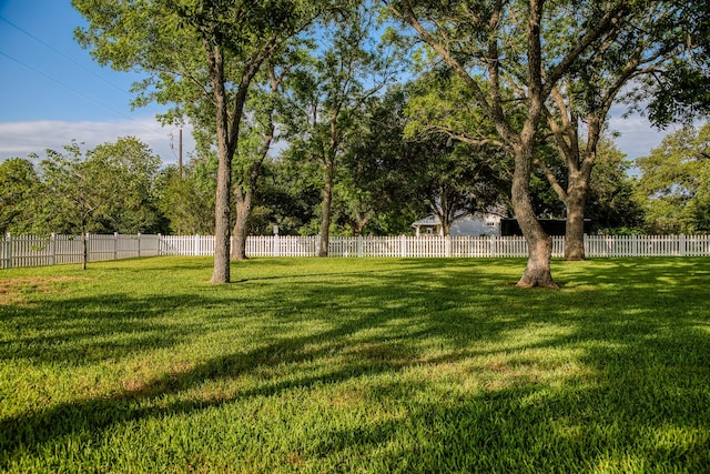 view of yard