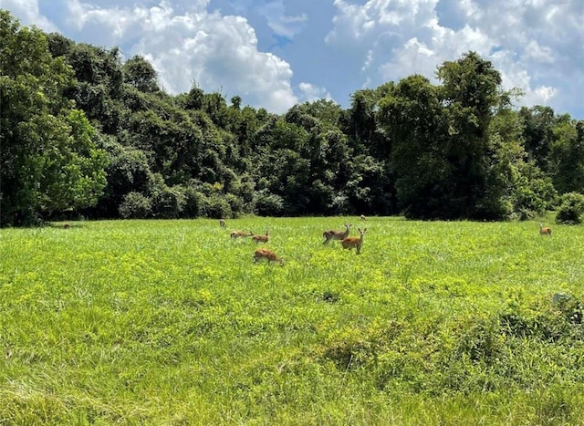 334 Lakeview Dr, Angleton, TX 77515