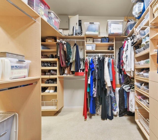 8611 Springmere Ct, Houston, TX 77095 - spacious closet with carpet flooring