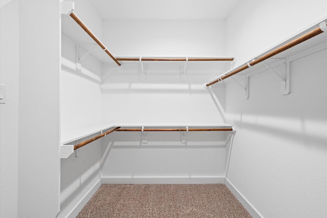 13415 Scott St, Houston, TX 77047 - walk in closet with carpet