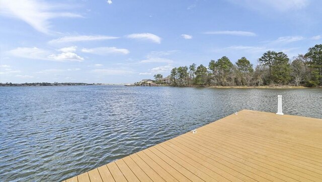 8315 Liat Ln, Conroe, TX 77304 - photo 46