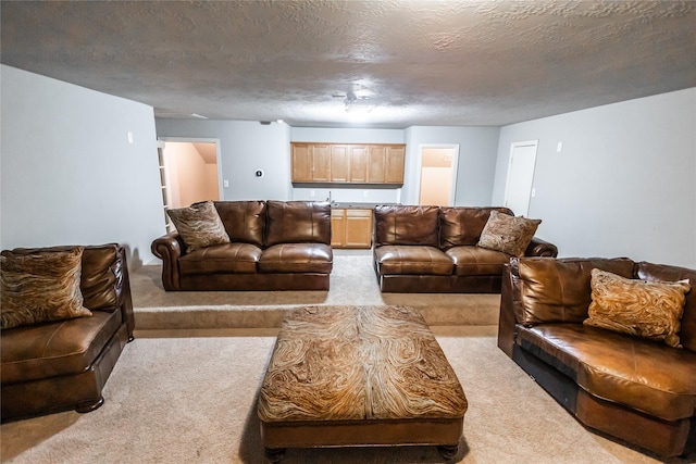 2506 Foxcrest Dr, Katy, TX 77494 - living room with carpet flooring and a textured ceiling