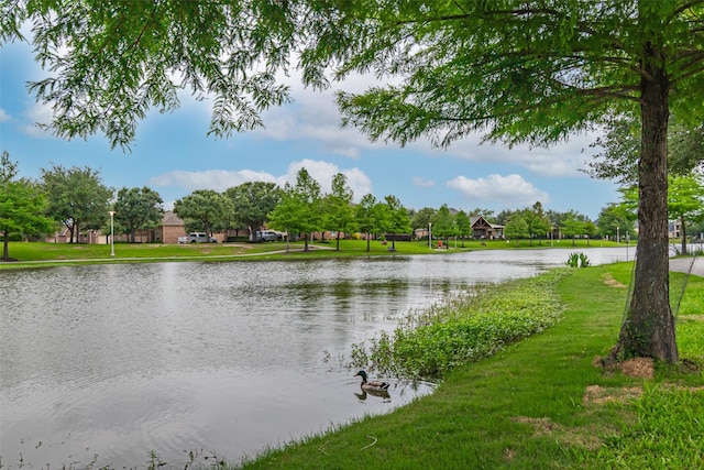 19303 Hamilton Hills Dr, Cypress, TX 77433 - photo 45