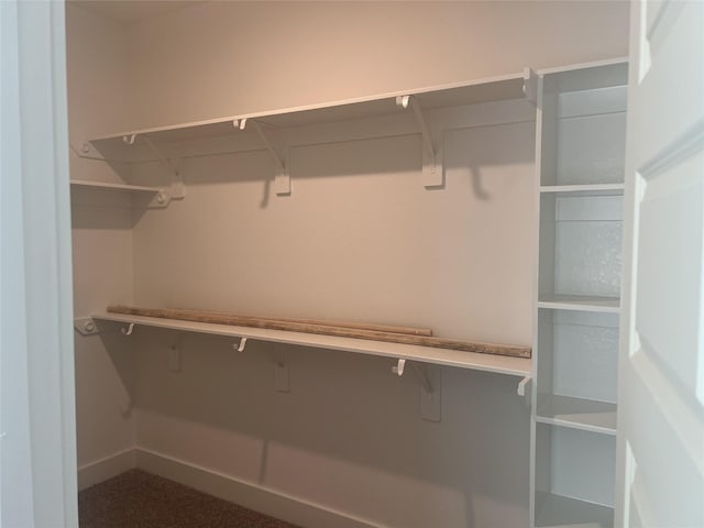 15198 Prairie Mill Dr, New Caney, TX 77357 - view of spacious closet