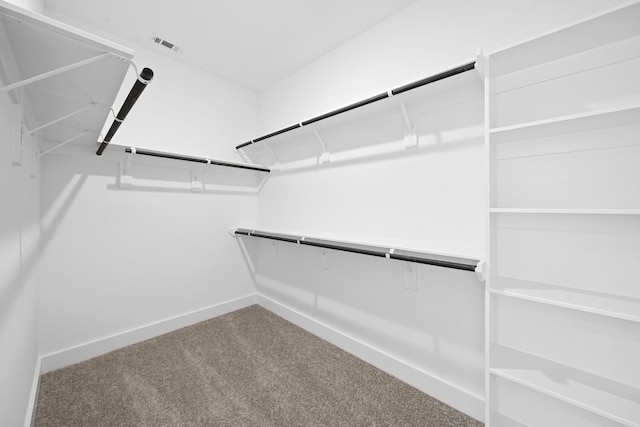 15198 Prairie Mill Dr, New Caney, TX 77357 - spacious closet featuring carpet