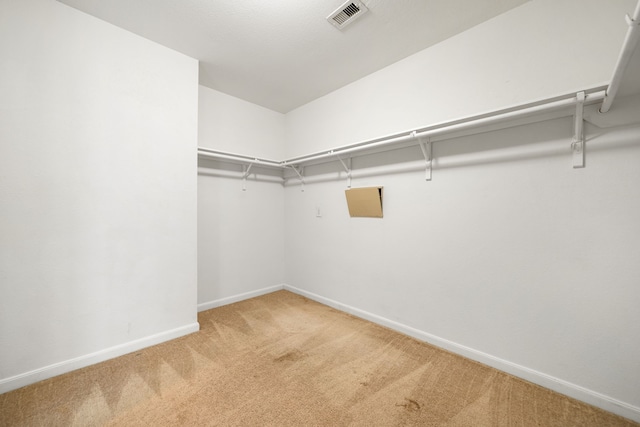 walk in closet featuring carpet