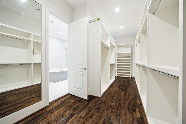 spacious closet with dark wood-type flooring