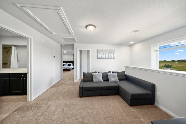 6263 El Turquesa Dr, Houston, TX 77048 - living room with attic access, light carpet, and baseboards