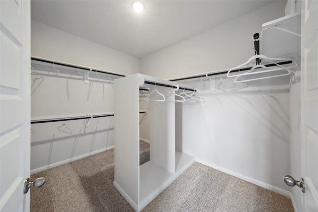 walk in closet featuring carpet