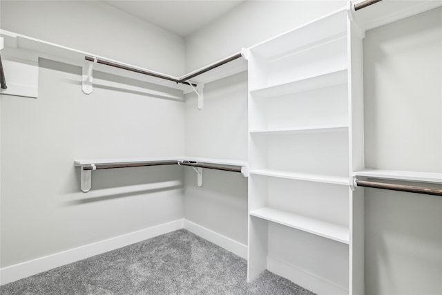 spacious closet with carpet floors