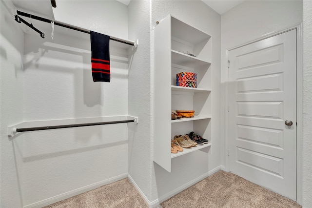 spacious closet with carpet floors