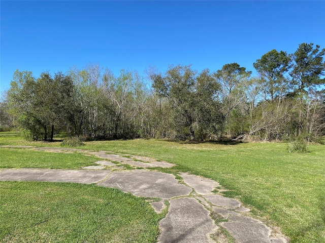 2138 Clifford St, Alvin, TX 77511 - view of green lawn