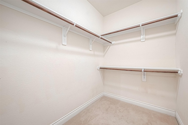 1606 Parker St, Houston, TX 77007 - spacious closet with light colored carpet