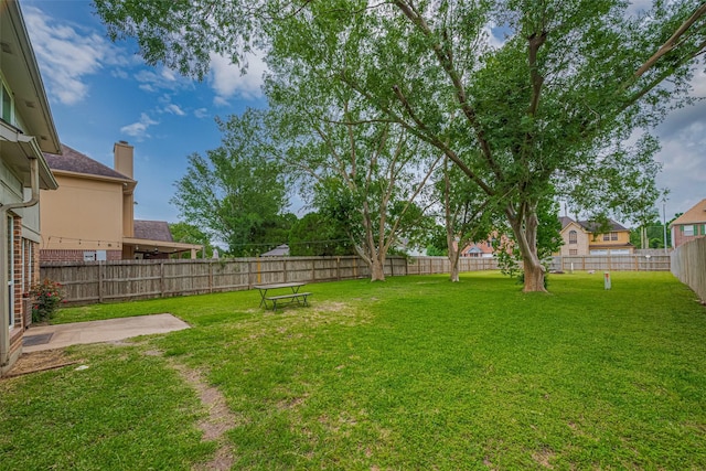 view of yard featuring a patio