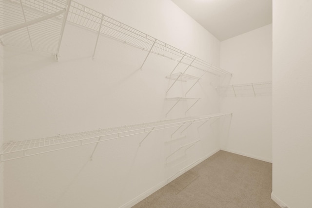 3722 Lovers Ln, Montgomery, TX 77356 - walk in closet with light colored carpet