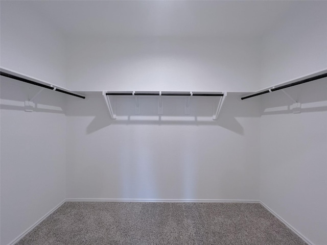 21310 Black Leaf Dr, New Caney, TX 77357 - spacious closet featuring carpet floors