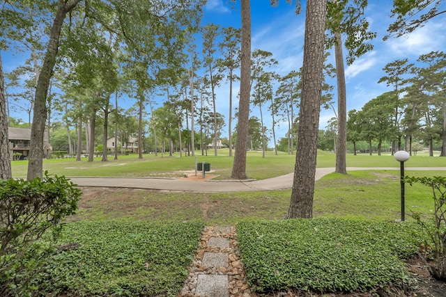 12900 Walden Rd Unit 107-A, Montgomery, TX 77356 - view of community featuring a lawn