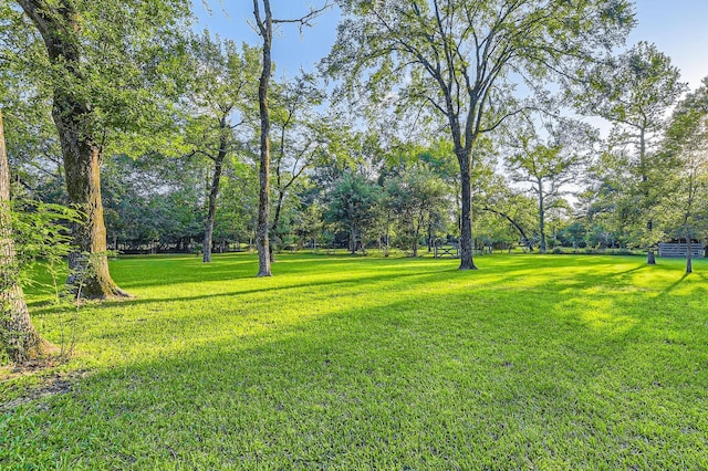 30319 Highland Blvd, Magnolia, TX 77354 - photo 23