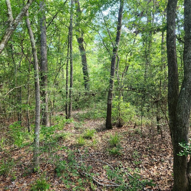 TBD Heritage Oak Dr, Huntsville, TX 77320 - photo 4