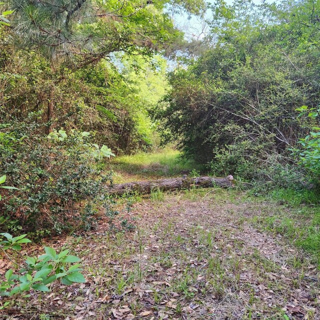 TBD Heritage Oak Dr, Huntsville, TX 77320 - photo 10