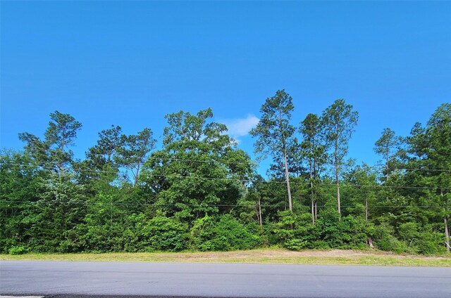 TBD Heritage Oak Dr, Huntsville, TX 77320 - photo 3