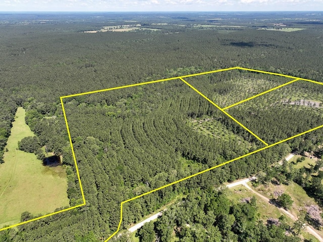 36 Westville Rd, Groveton, TX 75854