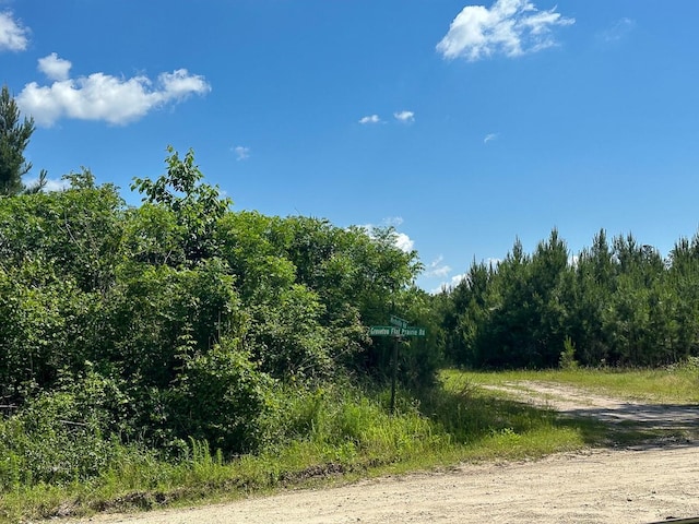 36 Westville Rd, Groveton, TX 75854