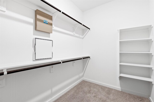 404 Kendall Crest Dr, Alvin, TX 77511 - walk in closet with carpet flooring
