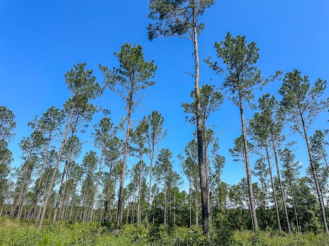 37 Groveton Flat Prairie Rd, Groveton, TX 75854