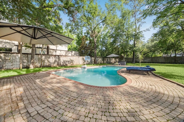view of swimming pool with a patio area and a diving board