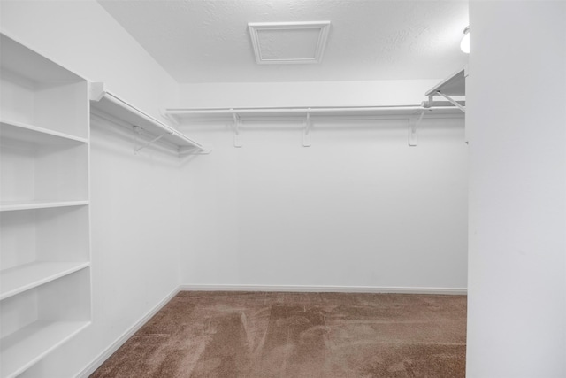 walk in closet with carpet flooring and attic access