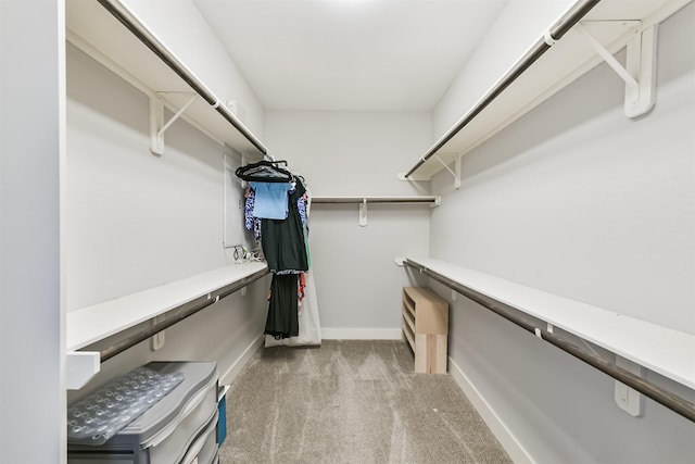 spacious closet with carpet floors