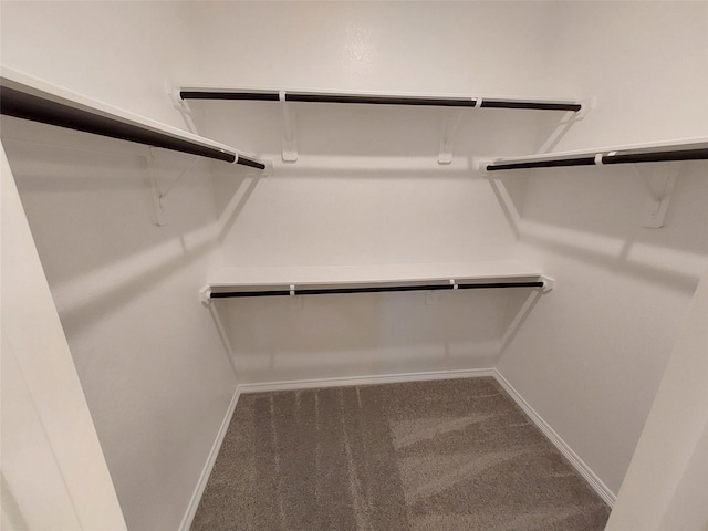 6438 Calhoun Rd, Houston, TX 77021 - photo 13