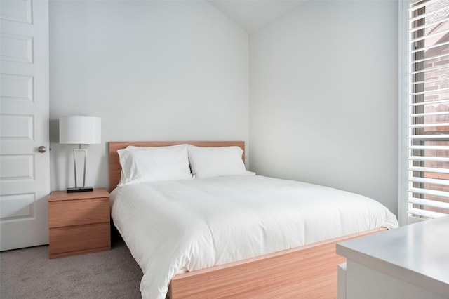30142 Gold Finch Pl, Fulshear, TX 77441 - bedroom with lofted ceiling and carpet flooring