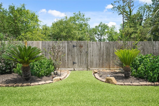 21410 Glenbranch Dr, Spring, TX 77388 - view of yard