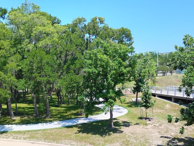 view of community featuring a yard