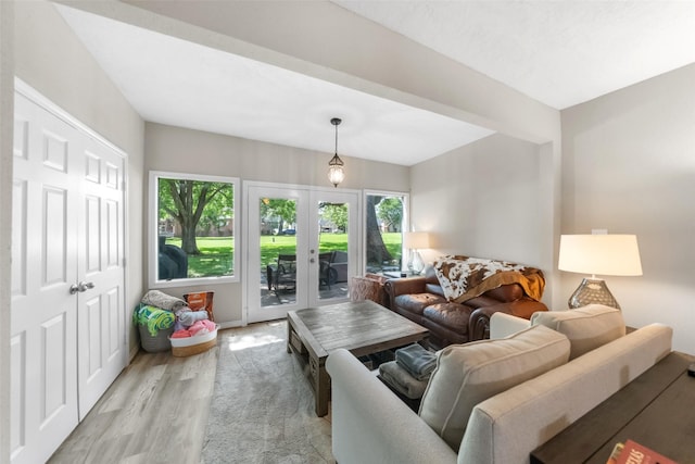 1924 Clipper Ct, Willis, TX 77318 - living room with healthy amount of natural light, light wood-type flooring, and french doors