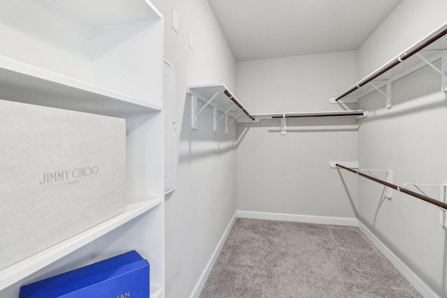 531 Campbell Dr, League City, TX 77573 - walk in closet with carpet floors