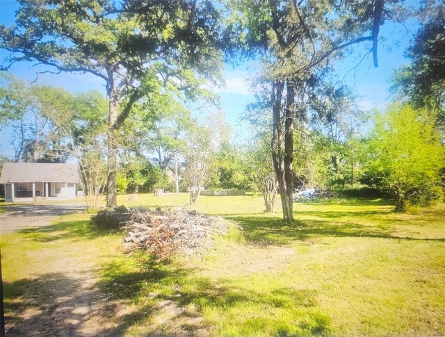 22116 Fairground Rd, Hempstead, TX 77445 - photo 6