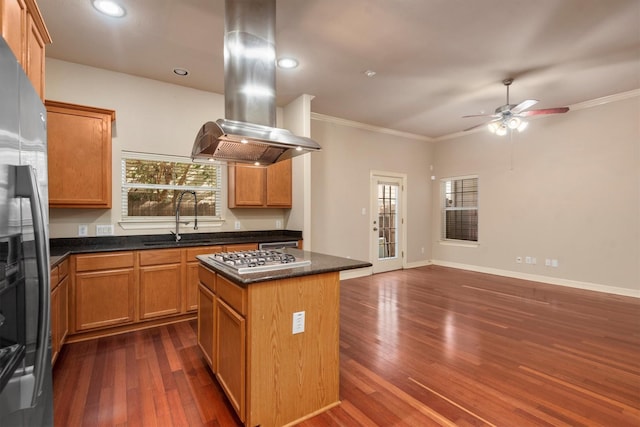 kitchen featuring a sink, stainless steel appliances, ceiling fan, dark wood-type flooring, and ornamental molding
