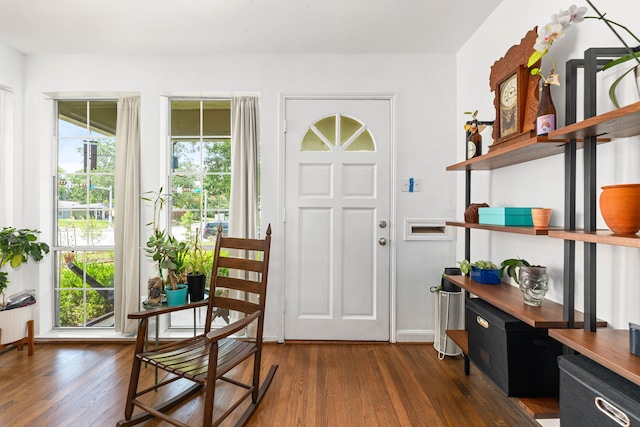 863 W 43rd St, Houston, TX 77018 - entrance foyer with wood finished floors, radiator heating unit, and baseboards