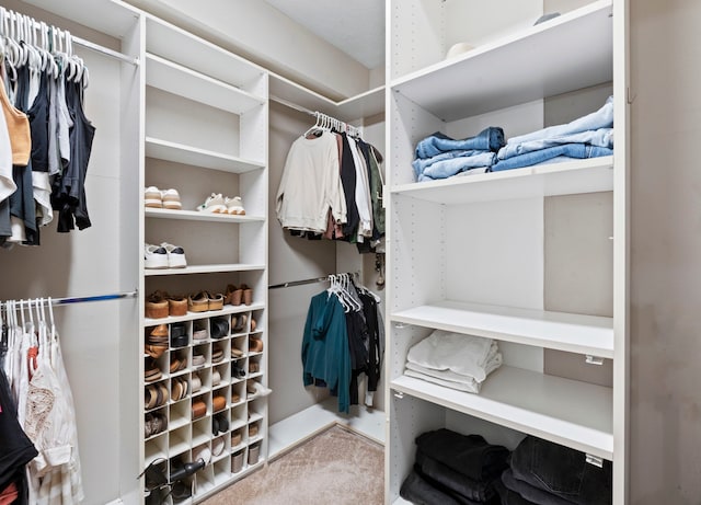 6503 Ambercrest Ct, Spring, TX 77389 - view of spacious closet