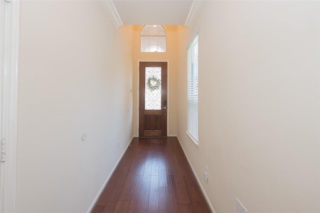 6222 Skyline Dr Unit 23, Houston, TX 77057 - doorway with baseboards, ornamental molding, and dark wood-style flooring