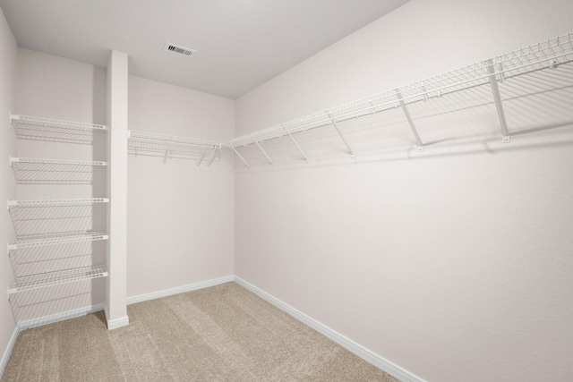 377 Tejas Trl, Waller, TX 77484 - spacious closet featuring carpet