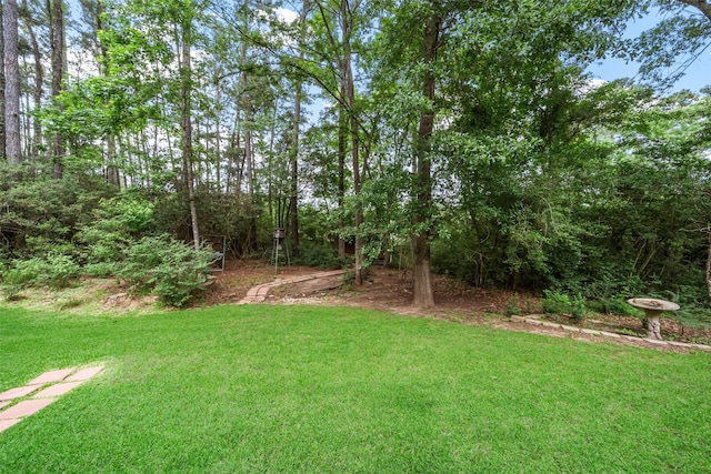 1924 Boulder Ridge Dr, Conroe, TX 77304 - view of grassy yard